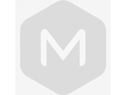 A successful first battle, high-end smart speaker dream